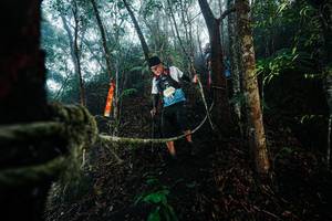 BIB: 
                            <button type="button" onclick="openModal(26401214)" class="btn btn-primary btn-sm float-right btn-popup" data-toggle="modal" data-target=".modal-high-quality">
                        <i class="fas fa-shopping-cart"></i> Add to Cart
                    </button>
                                            <button type="button" onclick="isThisMe(26401214, true)" class="btn btn-success btn-sm float-right btn-popup btn-isme hidden" data-toggle="tooltip" data-placement="bottom" title="นี่คือรูปของคุณใช่ไหม คลิกที่นี่เพื่อเอาเข้าอัลบั้ม">
                        <i class="fas fa-plus"></i> Add to album
                    </button>
                    <button type="button" onclick="isThisMe(26401214, false)" class="btn btn-warning btn-sm float-right btn-popup btn-isnotme hidden">
                        <i class="fas fa-ban"></i> Remove from album
                    </button>