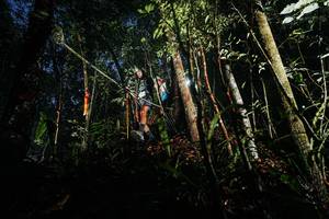 BIB: 
                            <button type="button" onclick="openModal(26387089)" class="btn btn-primary btn-sm float-right btn-popup" data-toggle="modal" data-target=".modal-high-quality">
                        <i class="fas fa-shopping-cart"></i> Add to Cart
                    </button>
                                            <button type="button" onclick="isThisMe(26387089, true)" class="btn btn-success btn-sm float-right btn-popup btn-isme hidden" data-toggle="tooltip" data-placement="bottom" title="นี่คือรูปของคุณใช่ไหม คลิกที่นี่เพื่อเอาเข้าอัลบั้ม">
                        <i class="fas fa-plus"></i> Add to album
                    </button>
                    <button type="button" onclick="isThisMe(26387089, false)" class="btn btn-warning btn-sm float-right btn-popup btn-isnotme hidden">
                        <i class="fas fa-ban"></i> Remove from album
                    </button>