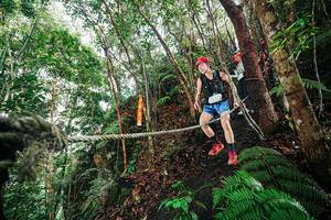 BIB: 
                            <button type="button" onclick="openModal(26403098)" class="btn btn-primary btn-sm float-right btn-popup" data-toggle="modal" data-target=".modal-high-quality">
                        <i class="fas fa-shopping-cart"></i> Add to Cart
                    </button>
                                            <button type="button" onclick="isThisMe(26403098, true)" class="btn btn-success btn-sm float-right btn-popup btn-isme hidden" data-toggle="tooltip" data-placement="bottom" title="นี่คือรูปของคุณใช่ไหม คลิกที่นี่เพื่อเอาเข้าอัลบั้ม">
                        <i class="fas fa-plus"></i> Add to album
                    </button>
                    <button type="button" onclick="isThisMe(26403098, false)" class="btn btn-warning btn-sm float-right btn-popup btn-isnotme hidden">
                        <i class="fas fa-ban"></i> Remove from album
                    </button>