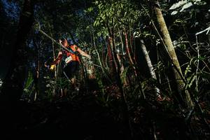 BIB: 
                            <button type="button" onclick="openModal(26386949)" class="btn btn-primary btn-sm float-right btn-popup" data-toggle="modal" data-target=".modal-high-quality">
                        <i class="fas fa-shopping-cart"></i> Add to Cart
                    </button>
                                            <button type="button" onclick="isThisMe(26386949, true)" class="btn btn-success btn-sm float-right btn-popup btn-isme hidden" data-toggle="tooltip" data-placement="bottom" title="นี่คือรูปของคุณใช่ไหม คลิกที่นี่เพื่อเอาเข้าอัลบั้ม">
                        <i class="fas fa-plus"></i> Add to album
                    </button>
                    <button type="button" onclick="isThisMe(26386949, false)" class="btn btn-warning btn-sm float-right btn-popup btn-isnotme hidden">
                        <i class="fas fa-ban"></i> Remove from album
                    </button>