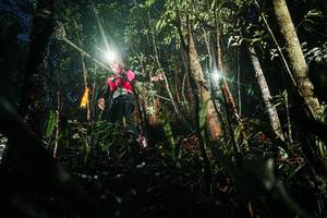 BIB: 
                            <button type="button" onclick="openModal(26386463)" class="btn btn-primary btn-sm float-right btn-popup" data-toggle="modal" data-target=".modal-high-quality">
                        <i class="fas fa-shopping-cart"></i> Add to Cart
                    </button>
                                            <button type="button" onclick="isThisMe(26386463, true)" class="btn btn-success btn-sm float-right btn-popup btn-isme hidden" data-toggle="tooltip" data-placement="bottom" title="นี่คือรูปของคุณใช่ไหม คลิกที่นี่เพื่อเอาเข้าอัลบั้ม">
                        <i class="fas fa-plus"></i> Add to album
                    </button>
                    <button type="button" onclick="isThisMe(26386463, false)" class="btn btn-warning btn-sm float-right btn-popup btn-isnotme hidden">
                        <i class="fas fa-ban"></i> Remove from album
                    </button>