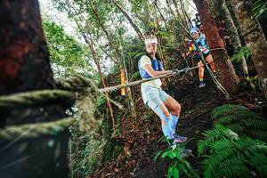 BIB: 
                            <button type="button" onclick="openModal(26403219)" class="btn btn-primary btn-sm float-right btn-popup" data-toggle="modal" data-target=".modal-high-quality">
                        <i class="fas fa-shopping-cart"></i> Add to Cart
                    </button>
                                            <button type="button" onclick="isThisMe(26403219, true)" class="btn btn-success btn-sm float-right btn-popup btn-isme hidden" data-toggle="tooltip" data-placement="bottom" title="นี่คือรูปของคุณใช่ไหม คลิกที่นี่เพื่อเอาเข้าอัลบั้ม">
                        <i class="fas fa-plus"></i> Add to album
                    </button>
                    <button type="button" onclick="isThisMe(26403219, false)" class="btn btn-warning btn-sm float-right btn-popup btn-isnotme hidden">
                        <i class="fas fa-ban"></i> Remove from album
                    </button>