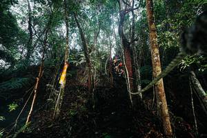 BIB: 
                            <button type="button" onclick="openModal(26396481)" class="btn btn-primary btn-sm float-right btn-popup" data-toggle="modal" data-target=".modal-high-quality">
                        <i class="fas fa-shopping-cart"></i> Add to Cart
                    </button>
                                            <button type="button" onclick="isThisMe(26396481, true)" class="btn btn-success btn-sm float-right btn-popup btn-isme hidden" data-toggle="tooltip" data-placement="bottom" title="นี่คือรูปของคุณใช่ไหม คลิกที่นี่เพื่อเอาเข้าอัลบั้ม">
                        <i class="fas fa-plus"></i> Add to album
                    </button>
                    <button type="button" onclick="isThisMe(26396481, false)" class="btn btn-warning btn-sm float-right btn-popup btn-isnotme hidden">
                        <i class="fas fa-ban"></i> Remove from album
                    </button>