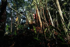 BIB: 
                            <button type="button" onclick="openModal(26389490)" class="btn btn-primary btn-sm float-right btn-popup" data-toggle="modal" data-target=".modal-high-quality">
                        <i class="fas fa-shopping-cart"></i> Add to Cart
                    </button>
                                            <button type="button" onclick="isThisMe(26389490, true)" class="btn btn-success btn-sm float-right btn-popup btn-isme hidden" data-toggle="tooltip" data-placement="bottom" title="นี่คือรูปของคุณใช่ไหม คลิกที่นี่เพื่อเอาเข้าอัลบั้ม">
                        <i class="fas fa-plus"></i> Add to album
                    </button>
                    <button type="button" onclick="isThisMe(26389490, false)" class="btn btn-warning btn-sm float-right btn-popup btn-isnotme hidden">
                        <i class="fas fa-ban"></i> Remove from album
                    </button>