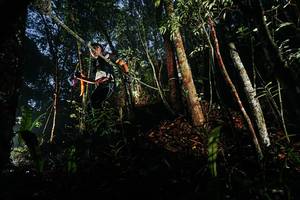 BIB: 
                            <button type="button" onclick="openModal(26388228)" class="btn btn-primary btn-sm float-right btn-popup" data-toggle="modal" data-target=".modal-high-quality">
                        <i class="fas fa-shopping-cart"></i> Add to Cart
                    </button>
                                            <button type="button" onclick="isThisMe(26388228, true)" class="btn btn-success btn-sm float-right btn-popup btn-isme hidden" data-toggle="tooltip" data-placement="bottom" title="นี่คือรูปของคุณใช่ไหม คลิกที่นี่เพื่อเอาเข้าอัลบั้ม">
                        <i class="fas fa-plus"></i> Add to album
                    </button>
                    <button type="button" onclick="isThisMe(26388228, false)" class="btn btn-warning btn-sm float-right btn-popup btn-isnotme hidden">
                        <i class="fas fa-ban"></i> Remove from album
                    </button>