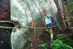 BIB: 
                            <button type="button" onclick="openModal(26402636)" class="btn btn-primary btn-sm float-right btn-popup" data-toggle="modal" data-target=".modal-high-quality">
                        <i class="fas fa-shopping-cart"></i> Add to Cart
                    </button>
                                            <button type="button" onclick="isThisMe(26402636, true)" class="btn btn-success btn-sm float-right btn-popup btn-isme hidden" data-toggle="tooltip" data-placement="bottom" title="นี่คือรูปของคุณใช่ไหม คลิกที่นี่เพื่อเอาเข้าอัลบั้ม">
                        <i class="fas fa-plus"></i> Add to album
                    </button>
                    <button type="button" onclick="isThisMe(26402636, false)" class="btn btn-warning btn-sm float-right btn-popup btn-isnotme hidden">
                        <i class="fas fa-ban"></i> Remove from album
                    </button>