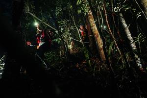 BIB: 
                            <button type="button" onclick="openModal(26385898)" class="btn btn-primary btn-sm float-right btn-popup" data-toggle="modal" data-target=".modal-high-quality">
                        <i class="fas fa-shopping-cart"></i> Add to Cart
                    </button>
                                            <button type="button" onclick="isThisMe(26385898, true)" class="btn btn-success btn-sm float-right btn-popup btn-isme hidden" data-toggle="tooltip" data-placement="bottom" title="นี่คือรูปของคุณใช่ไหม คลิกที่นี่เพื่อเอาเข้าอัลบั้ม">
                        <i class="fas fa-plus"></i> Add to album
                    </button>
                    <button type="button" onclick="isThisMe(26385898, false)" class="btn btn-warning btn-sm float-right btn-popup btn-isnotme hidden">
                        <i class="fas fa-ban"></i> Remove from album
                    </button>