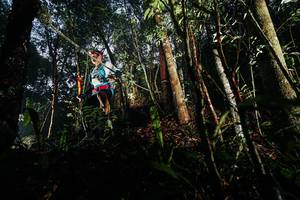 BIB: 
                            <button type="button" onclick="openModal(26389145)" class="btn btn-primary btn-sm float-right btn-popup" data-toggle="modal" data-target=".modal-high-quality">
                        <i class="fas fa-shopping-cart"></i> Add to Cart
                    </button>
                                            <button type="button" onclick="isThisMe(26389145, true)" class="btn btn-success btn-sm float-right btn-popup btn-isme hidden" data-toggle="tooltip" data-placement="bottom" title="นี่คือรูปของคุณใช่ไหม คลิกที่นี่เพื่อเอาเข้าอัลบั้ม">
                        <i class="fas fa-plus"></i> Add to album
                    </button>
                    <button type="button" onclick="isThisMe(26389145, false)" class="btn btn-warning btn-sm float-right btn-popup btn-isnotme hidden">
                        <i class="fas fa-ban"></i> Remove from album
                    </button>