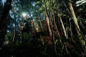 BIB: 
                            <button type="button" onclick="openModal(26391501)" class="btn btn-primary btn-sm float-right btn-popup" data-toggle="modal" data-target=".modal-high-quality">
                        <i class="fas fa-shopping-cart"></i> Add to Cart
                    </button>
                                            <button type="button" onclick="isThisMe(26391501, true)" class="btn btn-success btn-sm float-right btn-popup btn-isme hidden" data-toggle="tooltip" data-placement="bottom" title="นี่คือรูปของคุณใช่ไหม คลิกที่นี่เพื่อเอาเข้าอัลบั้ม">
                        <i class="fas fa-plus"></i> Add to album
                    </button>
                    <button type="button" onclick="isThisMe(26391501, false)" class="btn btn-warning btn-sm float-right btn-popup btn-isnotme hidden">
                        <i class="fas fa-ban"></i> Remove from album
                    </button>