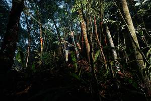 BIB: 
                            <button type="button" onclick="openModal(26391065)" class="btn btn-primary btn-sm float-right btn-popup" data-toggle="modal" data-target=".modal-high-quality">
                        <i class="fas fa-shopping-cart"></i> Add to Cart
                    </button>
                                            <button type="button" onclick="isThisMe(26391065, true)" class="btn btn-success btn-sm float-right btn-popup btn-isme hidden" data-toggle="tooltip" data-placement="bottom" title="นี่คือรูปของคุณใช่ไหม คลิกที่นี่เพื่อเอาเข้าอัลบั้ม">
                        <i class="fas fa-plus"></i> Add to album
                    </button>
                    <button type="button" onclick="isThisMe(26391065, false)" class="btn btn-warning btn-sm float-right btn-popup btn-isnotme hidden">
                        <i class="fas fa-ban"></i> Remove from album
                    </button>