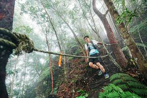 BIB: 
                            <button type="button" onclick="openModal(26402480)" class="btn btn-primary btn-sm float-right btn-popup" data-toggle="modal" data-target=".modal-high-quality">
                        <i class="fas fa-shopping-cart"></i> Add to Cart
                    </button>
                                            <button type="button" onclick="isThisMe(26402480, true)" class="btn btn-success btn-sm float-right btn-popup btn-isme hidden" data-toggle="tooltip" data-placement="bottom" title="นี่คือรูปของคุณใช่ไหม คลิกที่นี่เพื่อเอาเข้าอัลบั้ม">
                        <i class="fas fa-plus"></i> Add to album
                    </button>
                    <button type="button" onclick="isThisMe(26402480, false)" class="btn btn-warning btn-sm float-right btn-popup btn-isnotme hidden">
                        <i class="fas fa-ban"></i> Remove from album
                    </button>