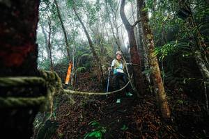 BIB: 
                            <button type="button" onclick="openModal(26402216)" class="btn btn-primary btn-sm float-right btn-popup" data-toggle="modal" data-target=".modal-high-quality">
                        <i class="fas fa-shopping-cart"></i> Add to Cart
                    </button>
                                            <button type="button" onclick="isThisMe(26402216, true)" class="btn btn-success btn-sm float-right btn-popup btn-isme hidden" data-toggle="tooltip" data-placement="bottom" title="นี่คือรูปของคุณใช่ไหม คลิกที่นี่เพื่อเอาเข้าอัลบั้ม">
                        <i class="fas fa-plus"></i> Add to album
                    </button>
                    <button type="button" onclick="isThisMe(26402216, false)" class="btn btn-warning btn-sm float-right btn-popup btn-isnotme hidden">
                        <i class="fas fa-ban"></i> Remove from album
                    </button>