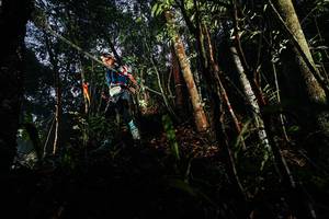 BIB: 
                            <button type="button" onclick="openModal(26388871)" class="btn btn-primary btn-sm float-right btn-popup" data-toggle="modal" data-target=".modal-high-quality">
                        <i class="fas fa-shopping-cart"></i> Add to Cart
                    </button>
                                            <button type="button" onclick="isThisMe(26388871, true)" class="btn btn-success btn-sm float-right btn-popup btn-isme hidden" data-toggle="tooltip" data-placement="bottom" title="นี่คือรูปของคุณใช่ไหม คลิกที่นี่เพื่อเอาเข้าอัลบั้ม">
                        <i class="fas fa-plus"></i> Add to album
                    </button>
                    <button type="button" onclick="isThisMe(26388871, false)" class="btn btn-warning btn-sm float-right btn-popup btn-isnotme hidden">
                        <i class="fas fa-ban"></i> Remove from album
                    </button>