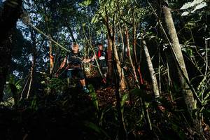 BIB: 
                            <button type="button" onclick="openModal(26390549)" class="btn btn-primary btn-sm float-right btn-popup" data-toggle="modal" data-target=".modal-high-quality">
                        <i class="fas fa-shopping-cart"></i> Add to Cart
                    </button>
                                            <button type="button" onclick="isThisMe(26390549, true)" class="btn btn-success btn-sm float-right btn-popup btn-isme hidden" data-toggle="tooltip" data-placement="bottom" title="นี่คือรูปของคุณใช่ไหม คลิกที่นี่เพื่อเอาเข้าอัลบั้ม">
                        <i class="fas fa-plus"></i> Add to album
                    </button>
                    <button type="button" onclick="isThisMe(26390549, false)" class="btn btn-warning btn-sm float-right btn-popup btn-isnotme hidden">
                        <i class="fas fa-ban"></i> Remove from album
                    </button>