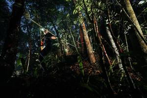 BIB: 
                            <button type="button" onclick="openModal(26387836)" class="btn btn-primary btn-sm float-right btn-popup" data-toggle="modal" data-target=".modal-high-quality">
                        <i class="fas fa-shopping-cart"></i> Add to Cart
                    </button>
                                            <button type="button" onclick="isThisMe(26387836, true)" class="btn btn-success btn-sm float-right btn-popup btn-isme hidden" data-toggle="tooltip" data-placement="bottom" title="นี่คือรูปของคุณใช่ไหม คลิกที่นี่เพื่อเอาเข้าอัลบั้ม">
                        <i class="fas fa-plus"></i> Add to album
                    </button>
                    <button type="button" onclick="isThisMe(26387836, false)" class="btn btn-warning btn-sm float-right btn-popup btn-isnotme hidden">
                        <i class="fas fa-ban"></i> Remove from album
                    </button>