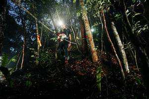 BIB: 
                            <button type="button" onclick="openModal(26388179)" class="btn btn-primary btn-sm float-right btn-popup" data-toggle="modal" data-target=".modal-high-quality">
                        <i class="fas fa-shopping-cart"></i> Add to Cart
                    </button>
                                            <button type="button" onclick="isThisMe(26388179, true)" class="btn btn-success btn-sm float-right btn-popup btn-isme hidden" data-toggle="tooltip" data-placement="bottom" title="นี่คือรูปของคุณใช่ไหม คลิกที่นี่เพื่อเอาเข้าอัลบั้ม">
                        <i class="fas fa-plus"></i> Add to album
                    </button>
                    <button type="button" onclick="isThisMe(26388179, false)" class="btn btn-warning btn-sm float-right btn-popup btn-isnotme hidden">
                        <i class="fas fa-ban"></i> Remove from album
                    </button>