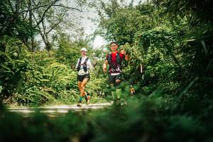 BIB: 
                            <button type="button" onclick="openModal(26408600)" class="btn btn-primary btn-sm float-right btn-popup" data-toggle="modal" data-target=".modal-high-quality">
                        <i class="fas fa-shopping-cart"></i> Add to Cart
                    </button>
                                            <button type="button" onclick="isThisMe(26408600, true)" class="btn btn-success btn-sm float-right btn-popup btn-isme hidden" data-toggle="tooltip" data-placement="bottom" title="นี่คือรูปของคุณใช่ไหม คลิกที่นี่เพื่อเอาเข้าอัลบั้ม">
                        <i class="fas fa-plus"></i> Add to album
                    </button>
                    <button type="button" onclick="isThisMe(26408600, false)" class="btn btn-warning btn-sm float-right btn-popup btn-isnotme hidden">
                        <i class="fas fa-ban"></i> Remove from album
                    </button>