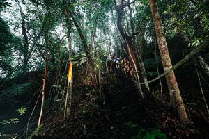 BIB: 
                            <button type="button" onclick="openModal(26396496)" class="btn btn-primary btn-sm float-right btn-popup" data-toggle="modal" data-target=".modal-high-quality">
                        <i class="fas fa-shopping-cart"></i> Add to Cart
                    </button>
                                            <button type="button" onclick="isThisMe(26396496, true)" class="btn btn-success btn-sm float-right btn-popup btn-isme hidden" data-toggle="tooltip" data-placement="bottom" title="นี่คือรูปของคุณใช่ไหม คลิกที่นี่เพื่อเอาเข้าอัลบั้ม">
                        <i class="fas fa-plus"></i> Add to album
                    </button>
                    <button type="button" onclick="isThisMe(26396496, false)" class="btn btn-warning btn-sm float-right btn-popup btn-isnotme hidden">
                        <i class="fas fa-ban"></i> Remove from album
                    </button>