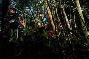 BIB: 
                            <button type="button" onclick="openModal(26389517)" class="btn btn-primary btn-sm float-right btn-popup" data-toggle="modal" data-target=".modal-high-quality">
                        <i class="fas fa-shopping-cart"></i> Add to Cart
                    </button>
                                            <button type="button" onclick="isThisMe(26389517, true)" class="btn btn-success btn-sm float-right btn-popup btn-isme hidden" data-toggle="tooltip" data-placement="bottom" title="นี่คือรูปของคุณใช่ไหม คลิกที่นี่เพื่อเอาเข้าอัลบั้ม">
                        <i class="fas fa-plus"></i> Add to album
                    </button>
                    <button type="button" onclick="isThisMe(26389517, false)" class="btn btn-warning btn-sm float-right btn-popup btn-isnotme hidden">
                        <i class="fas fa-ban"></i> Remove from album
                    </button>