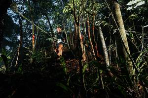 BIB: 
                            <button type="button" onclick="openModal(26390734)" class="btn btn-primary btn-sm float-right btn-popup" data-toggle="modal" data-target=".modal-high-quality">
                        <i class="fas fa-shopping-cart"></i> Add to Cart
                    </button>
                                            <button type="button" onclick="isThisMe(26390734, true)" class="btn btn-success btn-sm float-right btn-popup btn-isme hidden" data-toggle="tooltip" data-placement="bottom" title="นี่คือรูปของคุณใช่ไหม คลิกที่นี่เพื่อเอาเข้าอัลบั้ม">
                        <i class="fas fa-plus"></i> Add to album
                    </button>
                    <button type="button" onclick="isThisMe(26390734, false)" class="btn btn-warning btn-sm float-right btn-popup btn-isnotme hidden">
                        <i class="fas fa-ban"></i> Remove from album
                    </button>