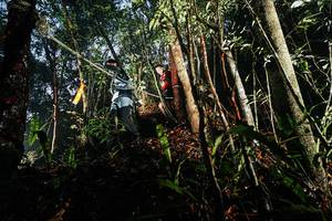 BIB: 
                            <button type="button" onclick="openModal(26389424)" class="btn btn-primary btn-sm float-right btn-popup" data-toggle="modal" data-target=".modal-high-quality">
                        <i class="fas fa-shopping-cart"></i> Add to Cart
                    </button>
                                            <button type="button" onclick="isThisMe(26389424, true)" class="btn btn-success btn-sm float-right btn-popup btn-isme hidden" data-toggle="tooltip" data-placement="bottom" title="นี่คือรูปของคุณใช่ไหม คลิกที่นี่เพื่อเอาเข้าอัลบั้ม">
                        <i class="fas fa-plus"></i> Add to album
                    </button>
                    <button type="button" onclick="isThisMe(26389424, false)" class="btn btn-warning btn-sm float-right btn-popup btn-isnotme hidden">
                        <i class="fas fa-ban"></i> Remove from album
                    </button>