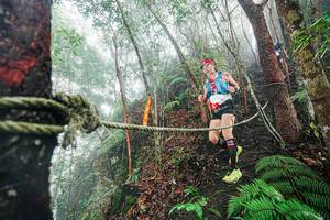 BIB: 
                            <button type="button" onclick="openModal(26402638)" class="btn btn-primary btn-sm float-right btn-popup" data-toggle="modal" data-target=".modal-high-quality">
                        <i class="fas fa-shopping-cart"></i> Add to Cart
                    </button>
                                            <button type="button" onclick="isThisMe(26402638, true)" class="btn btn-success btn-sm float-right btn-popup btn-isme hidden" data-toggle="tooltip" data-placement="bottom" title="นี่คือรูปของคุณใช่ไหม คลิกที่นี่เพื่อเอาเข้าอัลบั้ม">
                        <i class="fas fa-plus"></i> Add to album
                    </button>
                    <button type="button" onclick="isThisMe(26402638, false)" class="btn btn-warning btn-sm float-right btn-popup btn-isnotme hidden">
                        <i class="fas fa-ban"></i> Remove from album
                    </button>