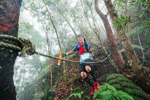 BIB: 
                            <button type="button" onclick="openModal(26402476)" class="btn btn-primary btn-sm float-right btn-popup" data-toggle="modal" data-target=".modal-high-quality">
                        <i class="fas fa-shopping-cart"></i> Add to Cart
                    </button>
                                            <button type="button" onclick="isThisMe(26402476, true)" class="btn btn-success btn-sm float-right btn-popup btn-isme hidden" data-toggle="tooltip" data-placement="bottom" title="นี่คือรูปของคุณใช่ไหม คลิกที่นี่เพื่อเอาเข้าอัลบั้ม">
                        <i class="fas fa-plus"></i> Add to album
                    </button>
                    <button type="button" onclick="isThisMe(26402476, false)" class="btn btn-warning btn-sm float-right btn-popup btn-isnotme hidden">
                        <i class="fas fa-ban"></i> Remove from album
                    </button>