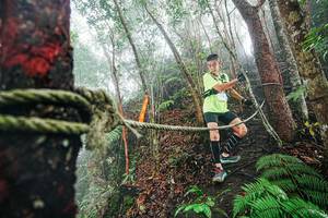 BIB: 
                            <button type="button" onclick="openModal(26402631)" class="btn btn-primary btn-sm float-right btn-popup" data-toggle="modal" data-target=".modal-high-quality">
                        <i class="fas fa-shopping-cart"></i> Add to Cart
                    </button>
                                            <button type="button" onclick="isThisMe(26402631, true)" class="btn btn-success btn-sm float-right btn-popup btn-isme hidden" data-toggle="tooltip" data-placement="bottom" title="นี่คือรูปของคุณใช่ไหม คลิกที่นี่เพื่อเอาเข้าอัลบั้ม">
                        <i class="fas fa-plus"></i> Add to album
                    </button>
                    <button type="button" onclick="isThisMe(26402631, false)" class="btn btn-warning btn-sm float-right btn-popup btn-isnotme hidden">
                        <i class="fas fa-ban"></i> Remove from album
                    </button>