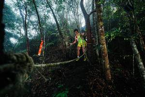 BIB: 
                            <button type="button" onclick="openModal(26401272)" class="btn btn-primary btn-sm float-right btn-popup" data-toggle="modal" data-target=".modal-high-quality">
                        <i class="fas fa-shopping-cart"></i> Add to Cart
                    </button>
                                            <button type="button" onclick="isThisMe(26401272, true)" class="btn btn-success btn-sm float-right btn-popup btn-isme hidden" data-toggle="tooltip" data-placement="bottom" title="นี่คือรูปของคุณใช่ไหม คลิกที่นี่เพื่อเอาเข้าอัลบั้ม">
                        <i class="fas fa-plus"></i> Add to album
                    </button>
                    <button type="button" onclick="isThisMe(26401272, false)" class="btn btn-warning btn-sm float-right btn-popup btn-isnotme hidden">
                        <i class="fas fa-ban"></i> Remove from album
                    </button>