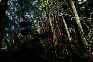 BIB: 
                            <button type="button" onclick="openModal(26390728)" class="btn btn-primary btn-sm float-right btn-popup" data-toggle="modal" data-target=".modal-high-quality">
                        <i class="fas fa-shopping-cart"></i> Add to Cart
                    </button>
                                            <button type="button" onclick="isThisMe(26390728, true)" class="btn btn-success btn-sm float-right btn-popup btn-isme hidden" data-toggle="tooltip" data-placement="bottom" title="นี่คือรูปของคุณใช่ไหม คลิกที่นี่เพื่อเอาเข้าอัลบั้ม">
                        <i class="fas fa-plus"></i> Add to album
                    </button>
                    <button type="button" onclick="isThisMe(26390728, false)" class="btn btn-warning btn-sm float-right btn-popup btn-isnotme hidden">
                        <i class="fas fa-ban"></i> Remove from album
                    </button>