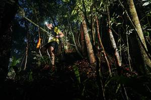 BIB: 
                            <button type="button" onclick="openModal(26387237)" class="btn btn-primary btn-sm float-right btn-popup" data-toggle="modal" data-target=".modal-high-quality">
                        <i class="fas fa-shopping-cart"></i> Add to Cart
                    </button>
                                            <button type="button" onclick="isThisMe(26387237, true)" class="btn btn-success btn-sm float-right btn-popup btn-isme hidden" data-toggle="tooltip" data-placement="bottom" title="นี่คือรูปของคุณใช่ไหม คลิกที่นี่เพื่อเอาเข้าอัลบั้ม">
                        <i class="fas fa-plus"></i> Add to album
                    </button>
                    <button type="button" onclick="isThisMe(26387237, false)" class="btn btn-warning btn-sm float-right btn-popup btn-isnotme hidden">
                        <i class="fas fa-ban"></i> Remove from album
                    </button>