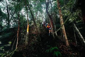 BIB: 
                            <button type="button" onclick="openModal(26396499)" class="btn btn-primary btn-sm float-right btn-popup" data-toggle="modal" data-target=".modal-high-quality">
                        <i class="fas fa-shopping-cart"></i> Add to Cart
                    </button>
                                            <button type="button" onclick="isThisMe(26396499, true)" class="btn btn-success btn-sm float-right btn-popup btn-isme hidden" data-toggle="tooltip" data-placement="bottom" title="นี่คือรูปของคุณใช่ไหม คลิกที่นี่เพื่อเอาเข้าอัลบั้ม">
                        <i class="fas fa-plus"></i> Add to album
                    </button>
                    <button type="button" onclick="isThisMe(26396499, false)" class="btn btn-warning btn-sm float-right btn-popup btn-isnotme hidden">
                        <i class="fas fa-ban"></i> Remove from album
                    </button>