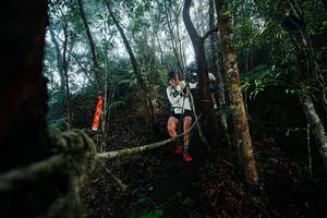 BIB: 
                            <button type="button" onclick="openModal(26401036)" class="btn btn-primary btn-sm float-right btn-popup" data-toggle="modal" data-target=".modal-high-quality">
                        <i class="fas fa-shopping-cart"></i> Add to Cart
                    </button>
                                            <button type="button" onclick="isThisMe(26401036, true)" class="btn btn-success btn-sm float-right btn-popup btn-isme hidden" data-toggle="tooltip" data-placement="bottom" title="นี่คือรูปของคุณใช่ไหม คลิกที่นี่เพื่อเอาเข้าอัลบั้ม">
                        <i class="fas fa-plus"></i> Add to album
                    </button>
                    <button type="button" onclick="isThisMe(26401036, false)" class="btn btn-warning btn-sm float-right btn-popup btn-isnotme hidden">
                        <i class="fas fa-ban"></i> Remove from album
                    </button>