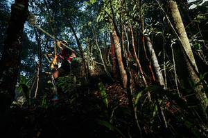 BIB: 
                            <button type="button" onclick="openModal(26391502)" class="btn btn-primary btn-sm float-right btn-popup" data-toggle="modal" data-target=".modal-high-quality">
                        <i class="fas fa-shopping-cart"></i> Add to Cart
                    </button>
                                            <button type="button" onclick="isThisMe(26391502, true)" class="btn btn-success btn-sm float-right btn-popup btn-isme hidden" data-toggle="tooltip" data-placement="bottom" title="นี่คือรูปของคุณใช่ไหม คลิกที่นี่เพื่อเอาเข้าอัลบั้ม">
                        <i class="fas fa-plus"></i> Add to album
                    </button>
                    <button type="button" onclick="isThisMe(26391502, false)" class="btn btn-warning btn-sm float-right btn-popup btn-isnotme hidden">
                        <i class="fas fa-ban"></i> Remove from album
                    </button>