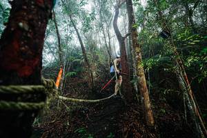 BIB: 
                            <button type="button" onclick="openModal(26402230)" class="btn btn-primary btn-sm float-right btn-popup" data-toggle="modal" data-target=".modal-high-quality">
                        <i class="fas fa-shopping-cart"></i> Add to Cart
                    </button>
                                            <button type="button" onclick="isThisMe(26402230, true)" class="btn btn-success btn-sm float-right btn-popup btn-isme hidden" data-toggle="tooltip" data-placement="bottom" title="นี่คือรูปของคุณใช่ไหม คลิกที่นี่เพื่อเอาเข้าอัลบั้ม">
                        <i class="fas fa-plus"></i> Add to album
                    </button>
                    <button type="button" onclick="isThisMe(26402230, false)" class="btn btn-warning btn-sm float-right btn-popup btn-isnotme hidden">
                        <i class="fas fa-ban"></i> Remove from album
                    </button>