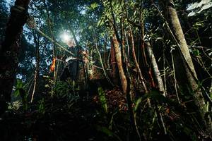 BIB: 
                            <button type="button" onclick="openModal(26391491)" class="btn btn-primary btn-sm float-right btn-popup" data-toggle="modal" data-target=".modal-high-quality">
                        <i class="fas fa-shopping-cart"></i> Add to Cart
                    </button>
                                            <button type="button" onclick="isThisMe(26391491, true)" class="btn btn-success btn-sm float-right btn-popup btn-isme hidden" data-toggle="tooltip" data-placement="bottom" title="นี่คือรูปของคุณใช่ไหม คลิกที่นี่เพื่อเอาเข้าอัลบั้ม">
                        <i class="fas fa-plus"></i> Add to album
                    </button>
                    <button type="button" onclick="isThisMe(26391491, false)" class="btn btn-warning btn-sm float-right btn-popup btn-isnotme hidden">
                        <i class="fas fa-ban"></i> Remove from album
                    </button>