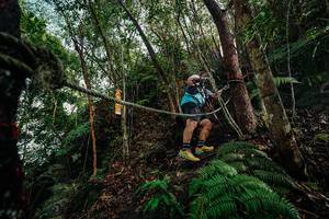 BIB: 
                            <button type="button" onclick="openModal(26406590)" class="btn btn-primary btn-sm float-right btn-popup" data-toggle="modal" data-target=".modal-high-quality">
                        <i class="fas fa-shopping-cart"></i> Add to Cart
                    </button>
                                            <button type="button" onclick="isThisMe(26406590, true)" class="btn btn-success btn-sm float-right btn-popup btn-isme hidden" data-toggle="tooltip" data-placement="bottom" title="นี่คือรูปของคุณใช่ไหม คลิกที่นี่เพื่อเอาเข้าอัลบั้ม">
                        <i class="fas fa-plus"></i> Add to album
                    </button>
                    <button type="button" onclick="isThisMe(26406590, false)" class="btn btn-warning btn-sm float-right btn-popup btn-isnotme hidden">
                        <i class="fas fa-ban"></i> Remove from album
                    </button>