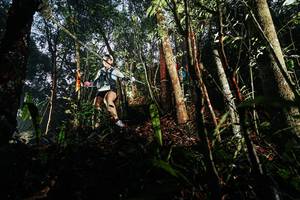 BIB: 
                            <button type="button" onclick="openModal(26389167)" class="btn btn-primary btn-sm float-right btn-popup" data-toggle="modal" data-target=".modal-high-quality">
                        <i class="fas fa-shopping-cart"></i> Add to Cart
                    </button>
                                            <button type="button" onclick="isThisMe(26389167, true)" class="btn btn-success btn-sm float-right btn-popup btn-isme hidden" data-toggle="tooltip" data-placement="bottom" title="นี่คือรูปของคุณใช่ไหม คลิกที่นี่เพื่อเอาเข้าอัลบั้ม">
                        <i class="fas fa-plus"></i> Add to album
                    </button>
                    <button type="button" onclick="isThisMe(26389167, false)" class="btn btn-warning btn-sm float-right btn-popup btn-isnotme hidden">
                        <i class="fas fa-ban"></i> Remove from album
                    </button>