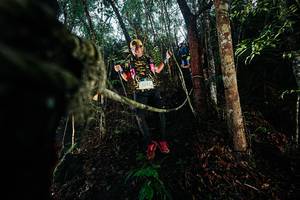 BIB: 
                            <button type="button" onclick="openModal(26396114)" class="btn btn-primary btn-sm float-right btn-popup" data-toggle="modal" data-target=".modal-high-quality">
                        <i class="fas fa-shopping-cart"></i> Add to Cart
                    </button>
                                            <button type="button" onclick="isThisMe(26396114, true)" class="btn btn-success btn-sm float-right btn-popup btn-isme hidden" data-toggle="tooltip" data-placement="bottom" title="นี่คือรูปของคุณใช่ไหม คลิกที่นี่เพื่อเอาเข้าอัลบั้ม">
                        <i class="fas fa-plus"></i> Add to album
                    </button>
                    <button type="button" onclick="isThisMe(26396114, false)" class="btn btn-warning btn-sm float-right btn-popup btn-isnotme hidden">
                        <i class="fas fa-ban"></i> Remove from album
                    </button>