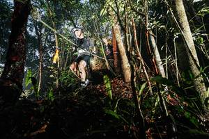 BIB: 
                            <button type="button" onclick="openModal(26389417)" class="btn btn-primary btn-sm float-right btn-popup" data-toggle="modal" data-target=".modal-high-quality">
                        <i class="fas fa-shopping-cart"></i> Add to Cart
                    </button>
                                            <button type="button" onclick="isThisMe(26389417, true)" class="btn btn-success btn-sm float-right btn-popup btn-isme hidden" data-toggle="tooltip" data-placement="bottom" title="นี่คือรูปของคุณใช่ไหม คลิกที่นี่เพื่อเอาเข้าอัลบั้ม">
                        <i class="fas fa-plus"></i> Add to album
                    </button>
                    <button type="button" onclick="isThisMe(26389417, false)" class="btn btn-warning btn-sm float-right btn-popup btn-isnotme hidden">
                        <i class="fas fa-ban"></i> Remove from album
                    </button>