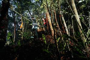 BIB: 
                            <button type="button" onclick="openModal(26389416)" class="btn btn-primary btn-sm float-right btn-popup" data-toggle="modal" data-target=".modal-high-quality">
                        <i class="fas fa-shopping-cart"></i> Add to Cart
                    </button>
                                            <button type="button" onclick="isThisMe(26389416, true)" class="btn btn-success btn-sm float-right btn-popup btn-isme hidden" data-toggle="tooltip" data-placement="bottom" title="นี่คือรูปของคุณใช่ไหม คลิกที่นี่เพื่อเอาเข้าอัลบั้ม">
                        <i class="fas fa-plus"></i> Add to album
                    </button>
                    <button type="button" onclick="isThisMe(26389416, false)" class="btn btn-warning btn-sm float-right btn-popup btn-isnotme hidden">
                        <i class="fas fa-ban"></i> Remove from album
                    </button>