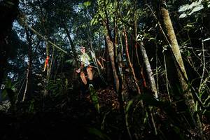 BIB: 
                            <button type="button" onclick="openModal(26391951)" class="btn btn-primary btn-sm float-right btn-popup" data-toggle="modal" data-target=".modal-high-quality">
                        <i class="fas fa-shopping-cart"></i> Add to Cart
                    </button>
                                            <button type="button" onclick="isThisMe(26391951, true)" class="btn btn-success btn-sm float-right btn-popup btn-isme hidden" data-toggle="tooltip" data-placement="bottom" title="นี่คือรูปของคุณใช่ไหม คลิกที่นี่เพื่อเอาเข้าอัลบั้ม">
                        <i class="fas fa-plus"></i> Add to album
                    </button>
                    <button type="button" onclick="isThisMe(26391951, false)" class="btn btn-warning btn-sm float-right btn-popup btn-isnotme hidden">
                        <i class="fas fa-ban"></i> Remove from album
                    </button>