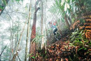 BIB: 
                            <button type="button" onclick="openModal(26402331)" class="btn btn-primary btn-sm float-right btn-popup" data-toggle="modal" data-target=".modal-high-quality">
                        <i class="fas fa-shopping-cart"></i> Add to Cart
                    </button>
                                            <button type="button" onclick="isThisMe(26402331, true)" class="btn btn-success btn-sm float-right btn-popup btn-isme hidden" data-toggle="tooltip" data-placement="bottom" title="นี่คือรูปของคุณใช่ไหม คลิกที่นี่เพื่อเอาเข้าอัลบั้ม">
                        <i class="fas fa-plus"></i> Add to album
                    </button>
                    <button type="button" onclick="isThisMe(26402331, false)" class="btn btn-warning btn-sm float-right btn-popup btn-isnotme hidden">
                        <i class="fas fa-ban"></i> Remove from album
                    </button>