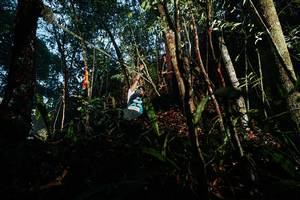 BIB: 
                            <button type="button" onclick="openModal(26392419)" class="btn btn-primary btn-sm float-right btn-popup" data-toggle="modal" data-target=".modal-high-quality">
                        <i class="fas fa-shopping-cart"></i> Add to Cart
                    </button>
                                            <button type="button" onclick="isThisMe(26392419, true)" class="btn btn-success btn-sm float-right btn-popup btn-isme hidden" data-toggle="tooltip" data-placement="bottom" title="นี่คือรูปของคุณใช่ไหม คลิกที่นี่เพื่อเอาเข้าอัลบั้ม">
                        <i class="fas fa-plus"></i> Add to album
                    </button>
                    <button type="button" onclick="isThisMe(26392419, false)" class="btn btn-warning btn-sm float-right btn-popup btn-isnotme hidden">
                        <i class="fas fa-ban"></i> Remove from album
                    </button>