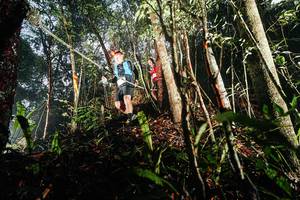 BIB: 
                            <button type="button" onclick="openModal(26389290)" class="btn btn-primary btn-sm float-right btn-popup" data-toggle="modal" data-target=".modal-high-quality">
                        <i class="fas fa-shopping-cart"></i> Add to Cart
                    </button>
                                            <button type="button" onclick="isThisMe(26389290, true)" class="btn btn-success btn-sm float-right btn-popup btn-isme hidden" data-toggle="tooltip" data-placement="bottom" title="นี่คือรูปของคุณใช่ไหม คลิกที่นี่เพื่อเอาเข้าอัลบั้ม">
                        <i class="fas fa-plus"></i> Add to album
                    </button>
                    <button type="button" onclick="isThisMe(26389290, false)" class="btn btn-warning btn-sm float-right btn-popup btn-isnotme hidden">
                        <i class="fas fa-ban"></i> Remove from album
                    </button>