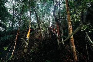 BIB: 
                            <button type="button" onclick="openModal(26396462)" class="btn btn-primary btn-sm float-right btn-popup" data-toggle="modal" data-target=".modal-high-quality">
                        <i class="fas fa-shopping-cart"></i> Add to Cart
                    </button>
                                            <button type="button" onclick="isThisMe(26396462, true)" class="btn btn-success btn-sm float-right btn-popup btn-isme hidden" data-toggle="tooltip" data-placement="bottom" title="นี่คือรูปของคุณใช่ไหม คลิกที่นี่เพื่อเอาเข้าอัลบั้ม">
                        <i class="fas fa-plus"></i> Add to album
                    </button>
                    <button type="button" onclick="isThisMe(26396462, false)" class="btn btn-warning btn-sm float-right btn-popup btn-isnotme hidden">
                        <i class="fas fa-ban"></i> Remove from album
                    </button>