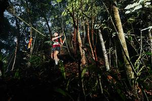 BIB: 
                            <button type="button" onclick="openModal(26390923)" class="btn btn-primary btn-sm float-right btn-popup" data-toggle="modal" data-target=".modal-high-quality">
                        <i class="fas fa-shopping-cart"></i> Add to Cart
                    </button>
                                            <button type="button" onclick="isThisMe(26390923, true)" class="btn btn-success btn-sm float-right btn-popup btn-isme hidden" data-toggle="tooltip" data-placement="bottom" title="นี่คือรูปของคุณใช่ไหม คลิกที่นี่เพื่อเอาเข้าอัลบั้ม">
                        <i class="fas fa-plus"></i> Add to album
                    </button>
                    <button type="button" onclick="isThisMe(26390923, false)" class="btn btn-warning btn-sm float-right btn-popup btn-isnotme hidden">
                        <i class="fas fa-ban"></i> Remove from album
                    </button>