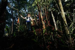 BIB: 
                            <button type="button" onclick="openModal(26390044)" class="btn btn-primary btn-sm float-right btn-popup" data-toggle="modal" data-target=".modal-high-quality">
                        <i class="fas fa-shopping-cart"></i> Add to Cart
                    </button>
                                            <button type="button" onclick="isThisMe(26390044, true)" class="btn btn-success btn-sm float-right btn-popup btn-isme hidden" data-toggle="tooltip" data-placement="bottom" title="นี่คือรูปของคุณใช่ไหม คลิกที่นี่เพื่อเอาเข้าอัลบั้ม">
                        <i class="fas fa-plus"></i> Add to album
                    </button>
                    <button type="button" onclick="isThisMe(26390044, false)" class="btn btn-warning btn-sm float-right btn-popup btn-isnotme hidden">
                        <i class="fas fa-ban"></i> Remove from album
                    </button>