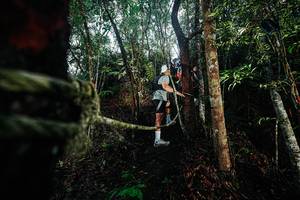 BIB: 
                            <button type="button" onclick="openModal(26397182)" class="btn btn-primary btn-sm float-right btn-popup" data-toggle="modal" data-target=".modal-high-quality">
                        <i class="fas fa-shopping-cart"></i> Add to Cart
                    </button>
                                            <button type="button" onclick="isThisMe(26397182, true)" class="btn btn-success btn-sm float-right btn-popup btn-isme hidden" data-toggle="tooltip" data-placement="bottom" title="นี่คือรูปของคุณใช่ไหม คลิกที่นี่เพื่อเอาเข้าอัลบั้ม">
                        <i class="fas fa-plus"></i> Add to album
                    </button>
                    <button type="button" onclick="isThisMe(26397182, false)" class="btn btn-warning btn-sm float-right btn-popup btn-isnotme hidden">
                        <i class="fas fa-ban"></i> Remove from album
                    </button>