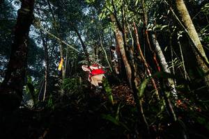 BIB: 
                            <button type="button" onclick="openModal(26392538)" class="btn btn-primary btn-sm float-right btn-popup" data-toggle="modal" data-target=".modal-high-quality">
                        <i class="fas fa-shopping-cart"></i> Add to Cart
                    </button>
                                            <button type="button" onclick="isThisMe(26392538, true)" class="btn btn-success btn-sm float-right btn-popup btn-isme hidden" data-toggle="tooltip" data-placement="bottom" title="นี่คือรูปของคุณใช่ไหม คลิกที่นี่เพื่อเอาเข้าอัลบั้ม">
                        <i class="fas fa-plus"></i> Add to album
                    </button>
                    <button type="button" onclick="isThisMe(26392538, false)" class="btn btn-warning btn-sm float-right btn-popup btn-isnotme hidden">
                        <i class="fas fa-ban"></i> Remove from album
                    </button>